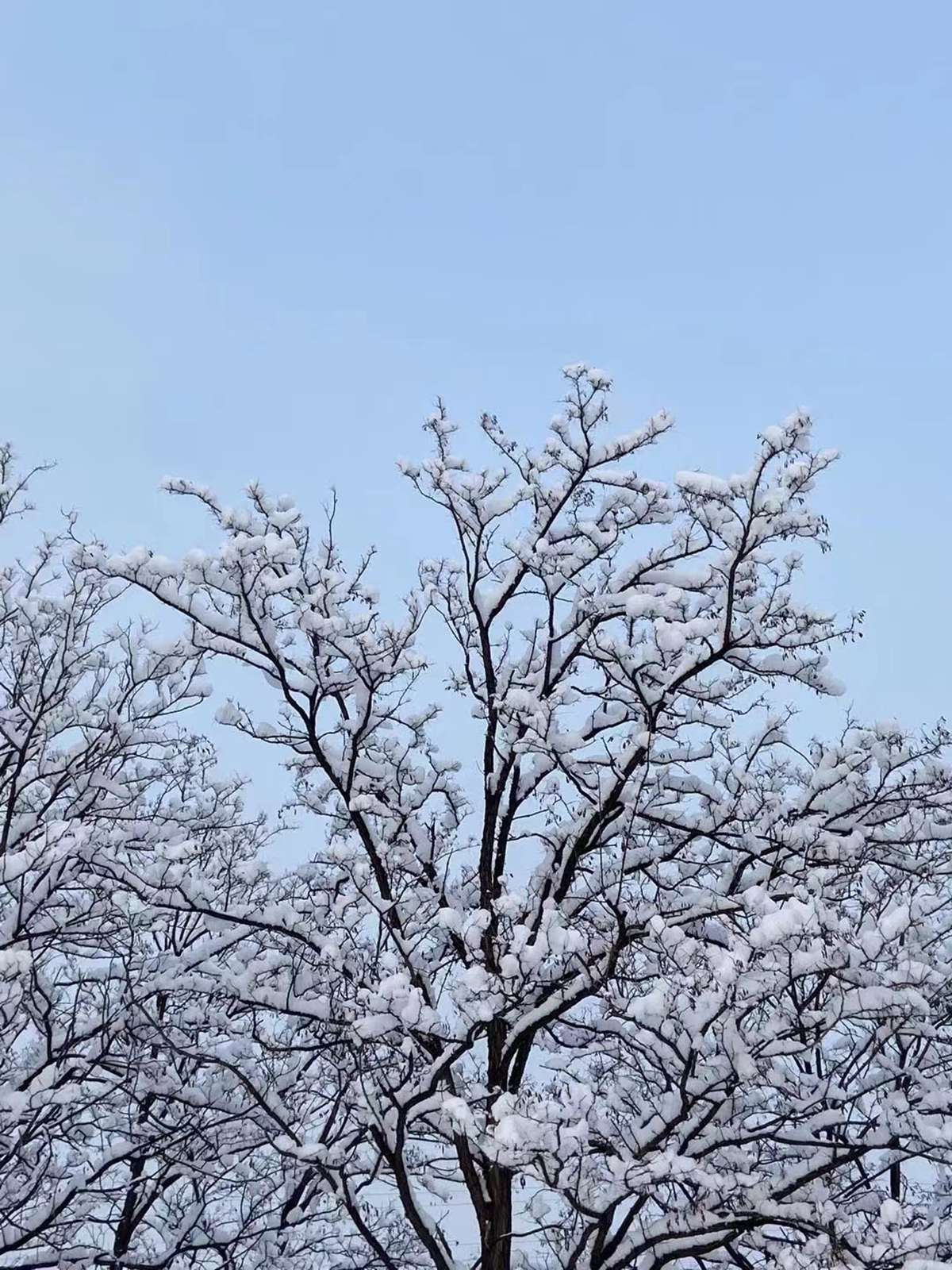 园区风景