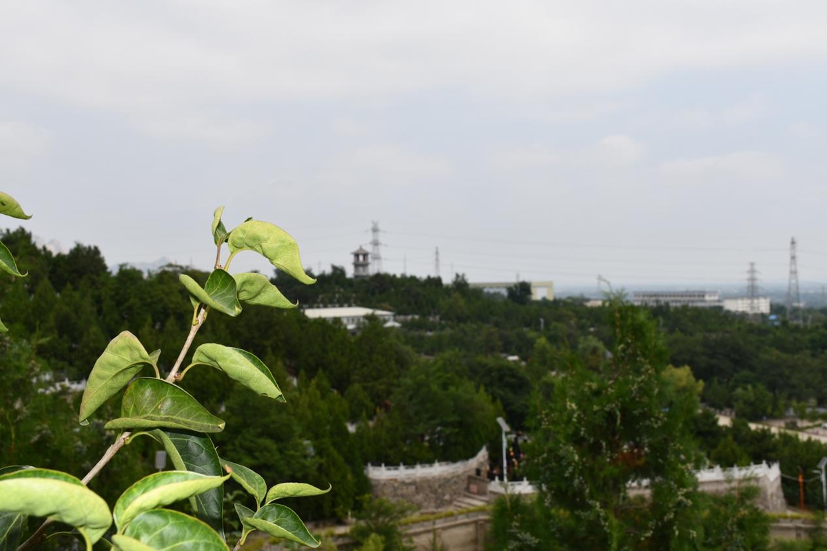 园区风景